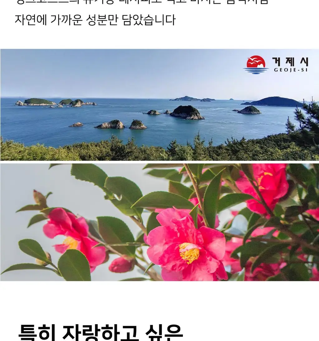 [NEW] 핑크고스트 헤어 씨위드 미스트 50ml 상세페이지 31